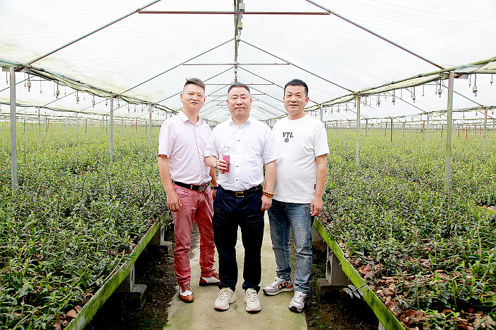 1725267189164398.png 圖片4.png